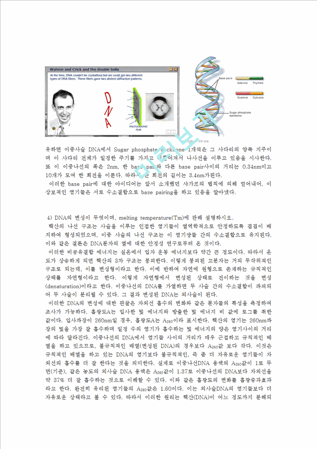 [레포트] 생물공학실험 DNA정량법   (3 )